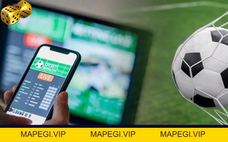 Hướng Dẫn Tải App Go8 Đơn Giản, Nhanh Gọn Cho Tân Thủ - MAPEGI